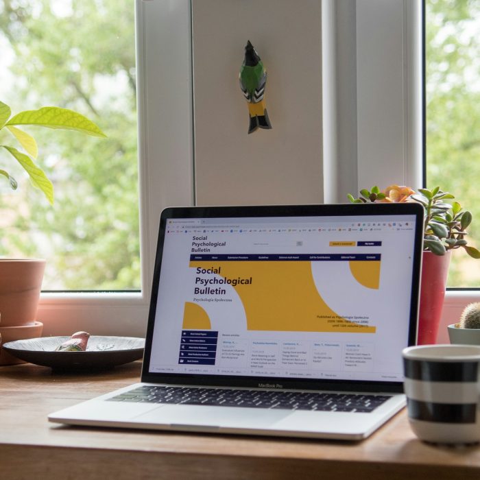 michal-parzuchowski-Nh4Sxasye24-unsplash